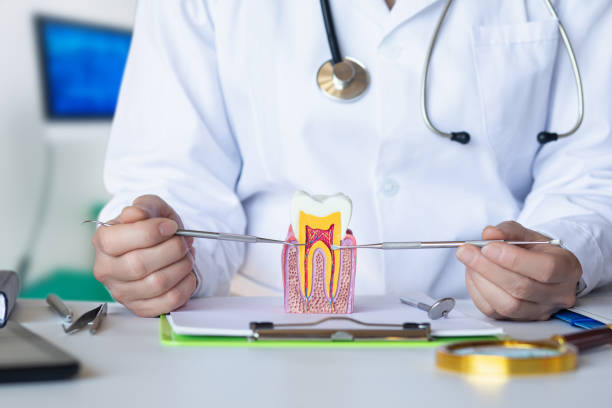 Best After-Hours Dental Care in Interlaken, CA